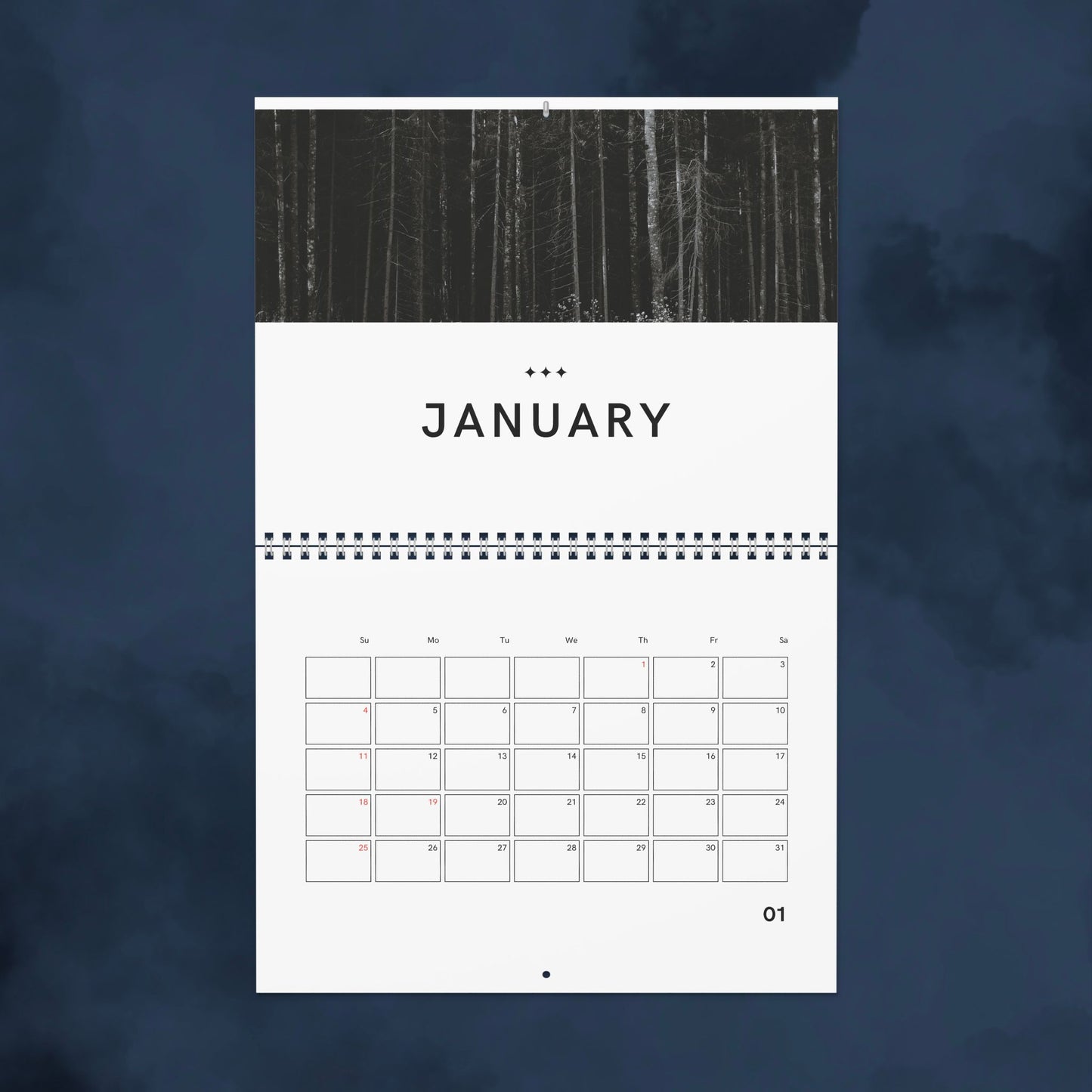2026 Wall Calendar, Minimal Black and White Photography Calendar, Modern Home Office Decor, Monthly Planner Gift