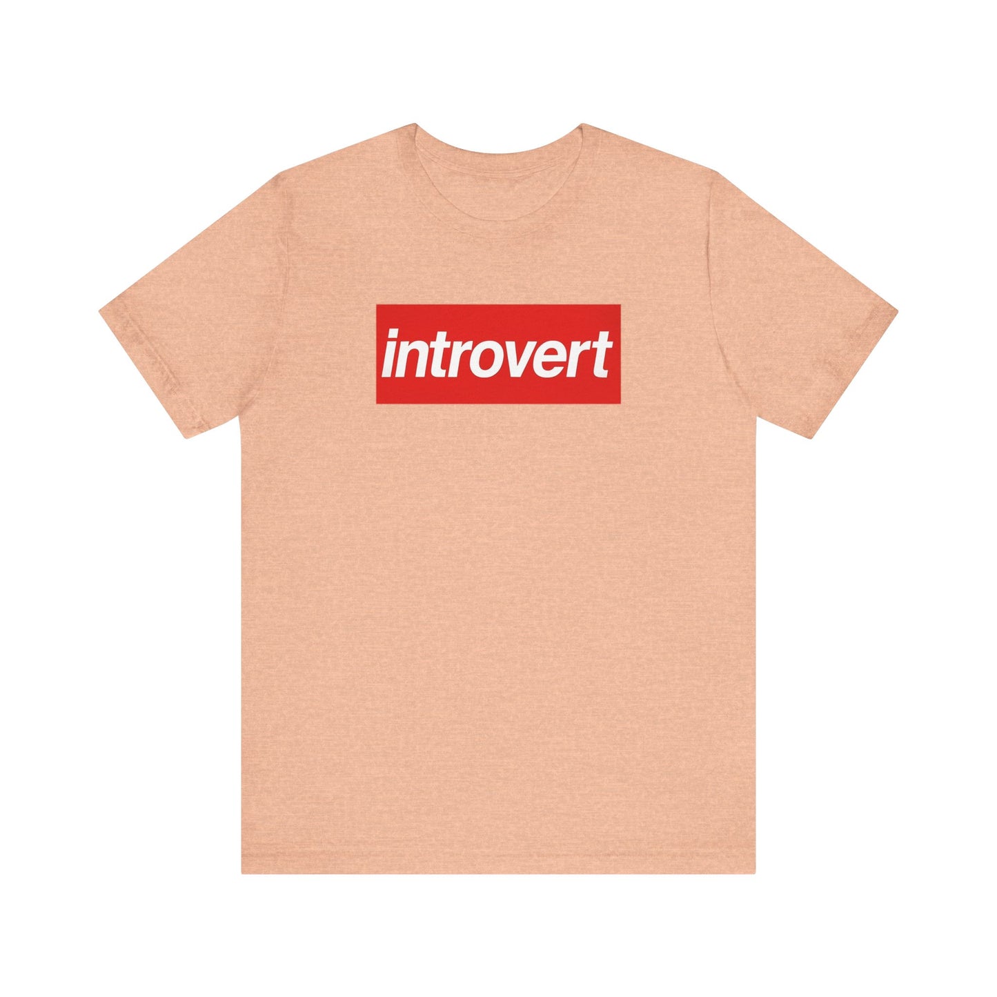 Introvert T-Shirt Funny Anti-Social Graphic Tee, Sarcastic Introvert Gift Shirt, Relatable Everyday Humor Tee