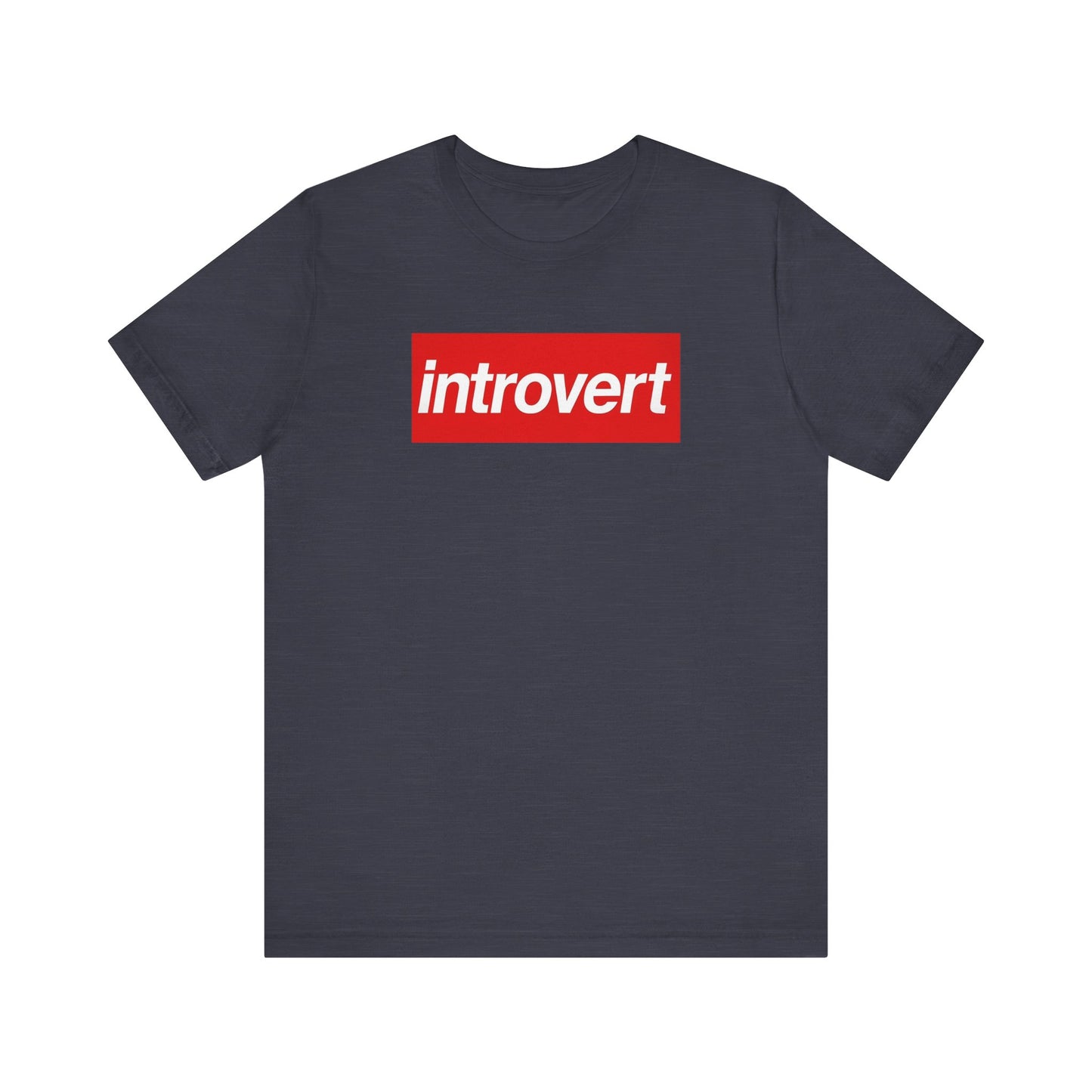 Introvert T-Shirt Funny Anti-Social Graphic Tee, Sarcastic Introvert Gift Shirt, Relatable Everyday Humor Tee