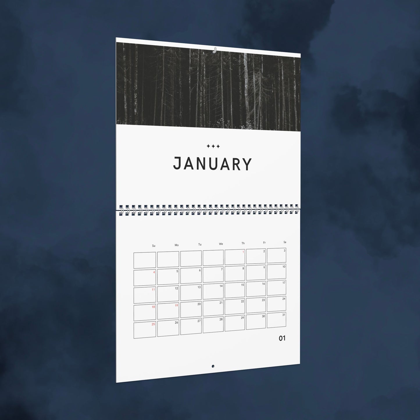 2026 Wall Calendar, Minimal Black and White Photography Calendar, Modern Home Office Decor, Monthly Planner Gift