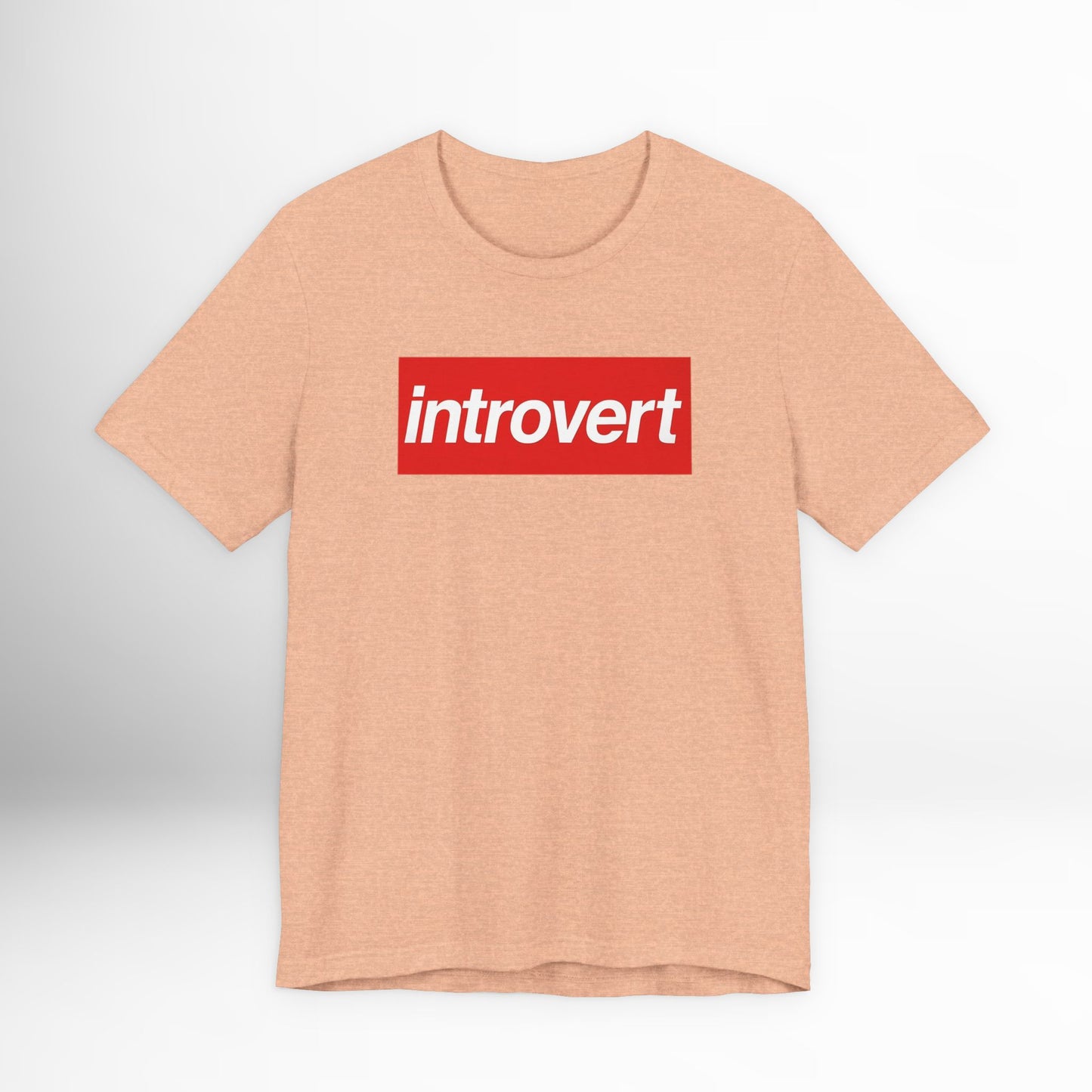 Introvert T-Shirt Funny Anti-Social Graphic Tee, Sarcastic Introvert Gift Shirt, Relatable Everyday Humor Tee