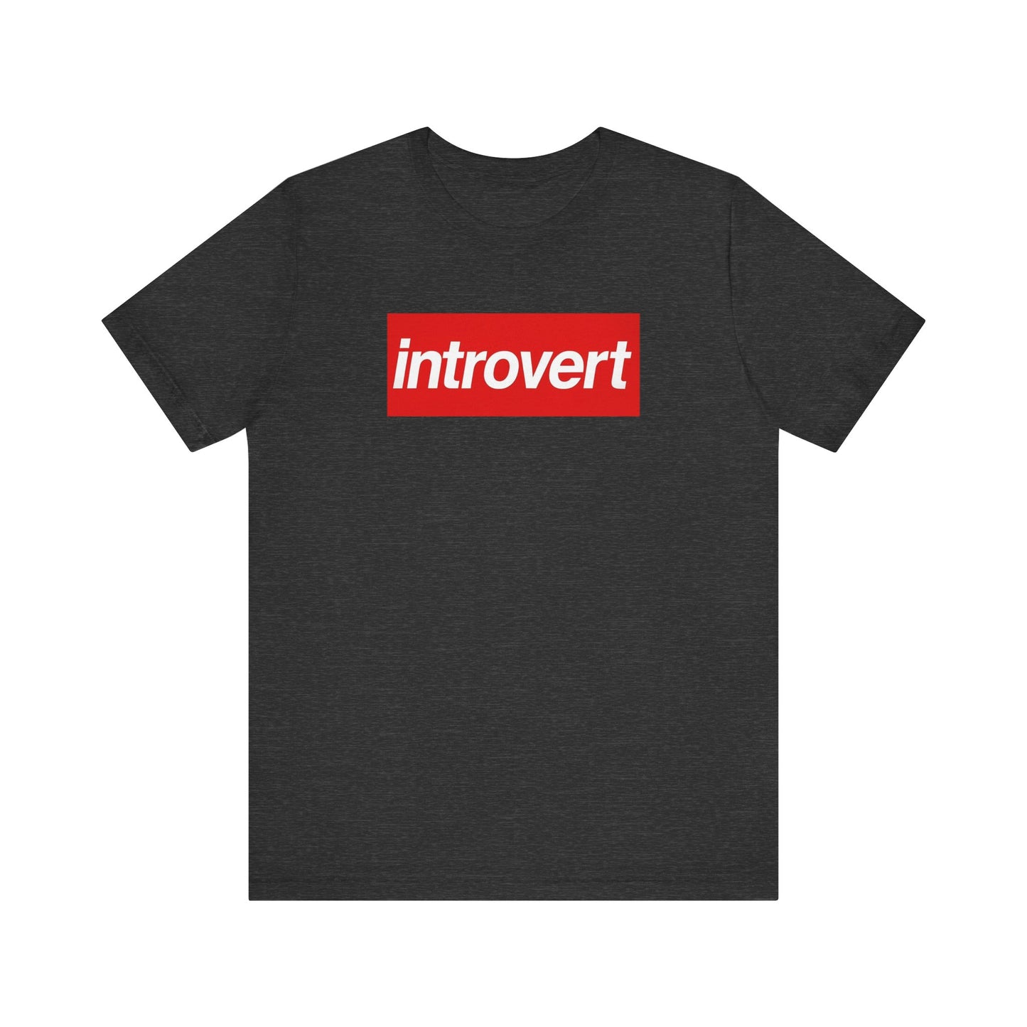 Introvert T-Shirt Funny Anti-Social Graphic Tee, Sarcastic Introvert Gift Shirt, Relatable Everyday Humor Tee