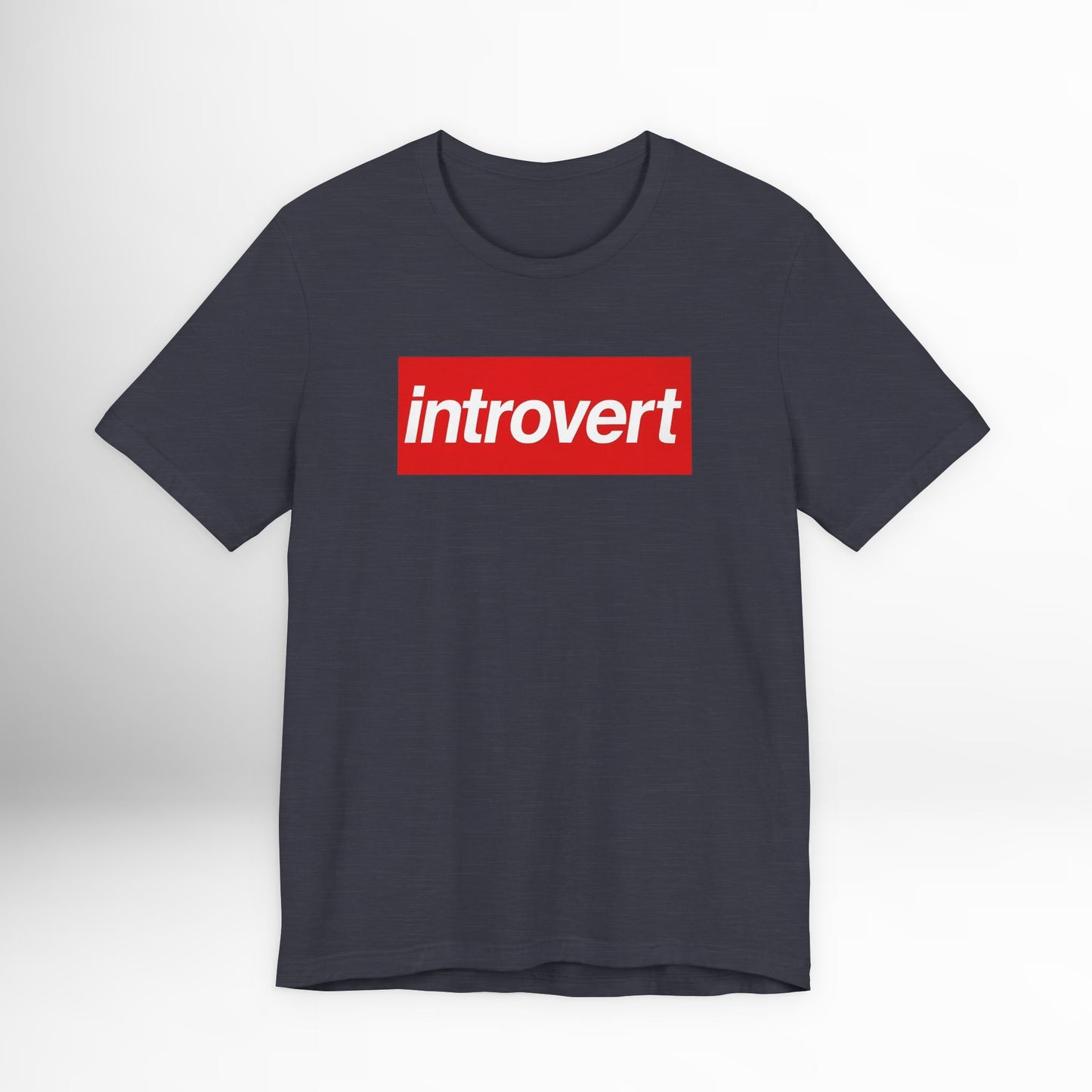 Introvert T-Shirt Funny Anti-Social Graphic Tee, Sarcastic Introvert Gift Shirt, Relatable Everyday Humor Tee