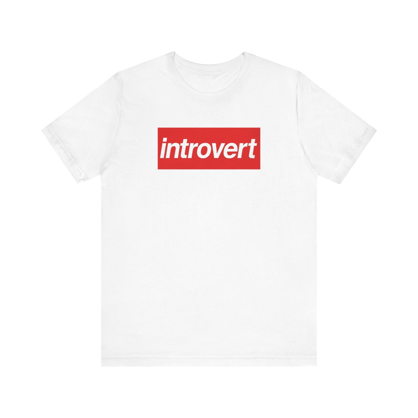 Introvert T-Shirt Funny Anti-Social Graphic Tee, Sarcastic Introvert Gift Shirt, Relatable Everyday Humor Tee